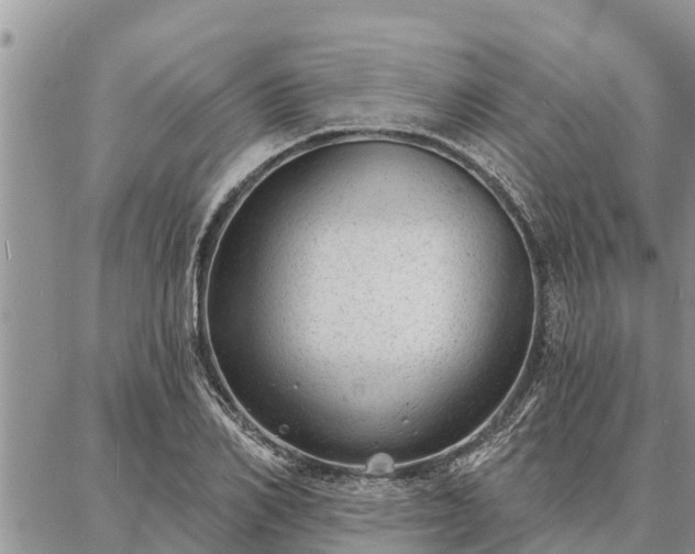 X0000086930982200704231326