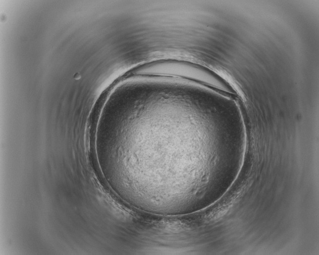 X0000086930983200704231326