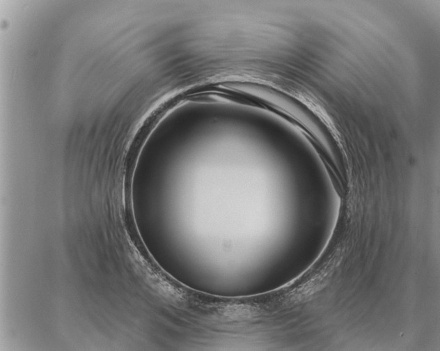 X0000086930984200704231326