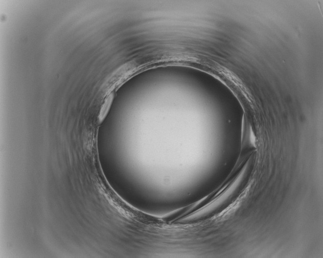 X0000086930985200704231326