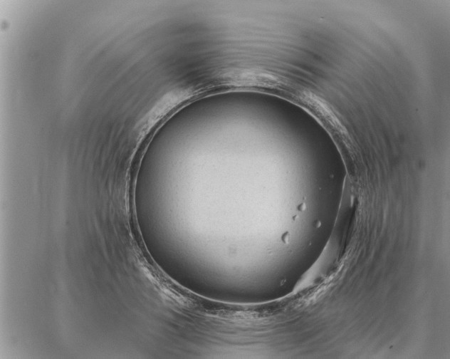 X0000086930986200704231326