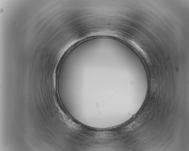 X0000086930988200704231326