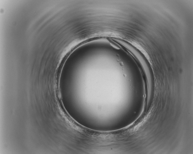 X0000086930989200704231326