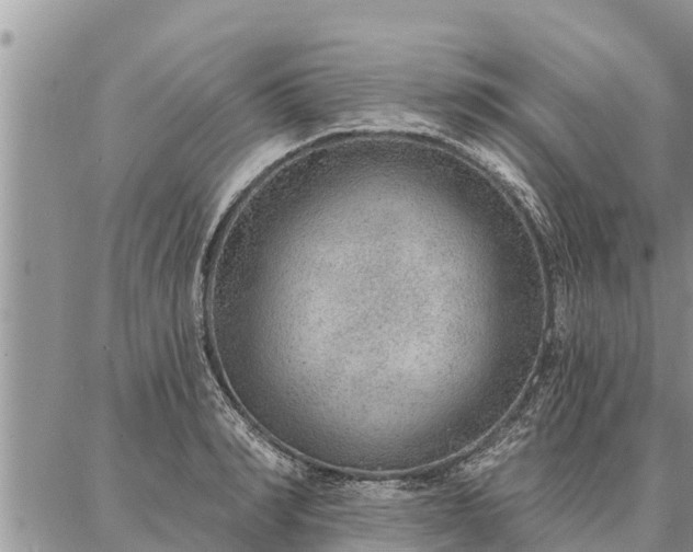 X0000086930990200704231326