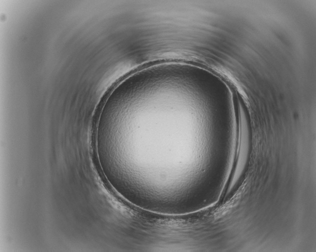 X0000086930991200704231326