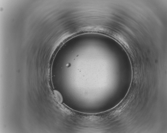 X0000086930992200704231326