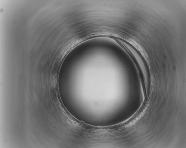 X0000086930993200704231326