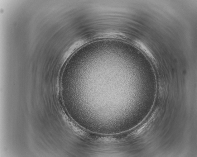 X0000086930994200704231326