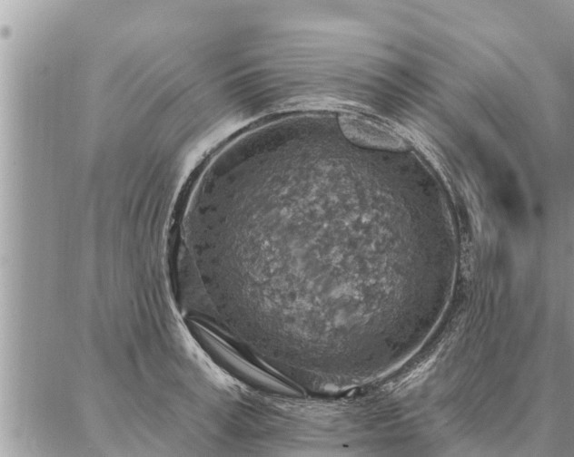 X0000086930995200704231326