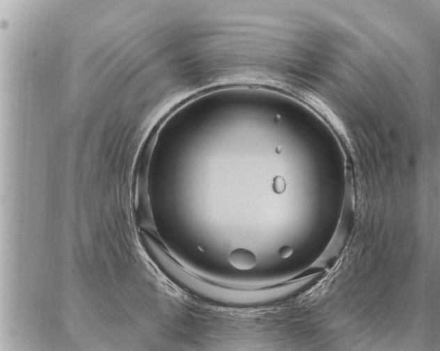 X0000086930996200704231326