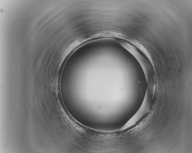 X0000086930997200704231326