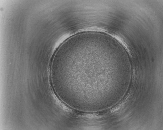 X0000086930998200704231326