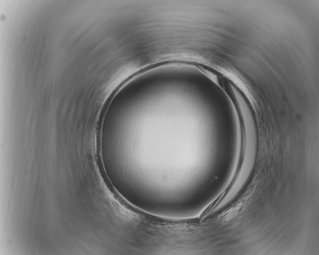 X0000086930999200704231326