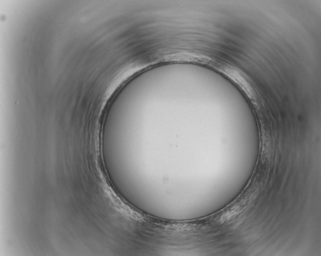 X0000086931000200704231326