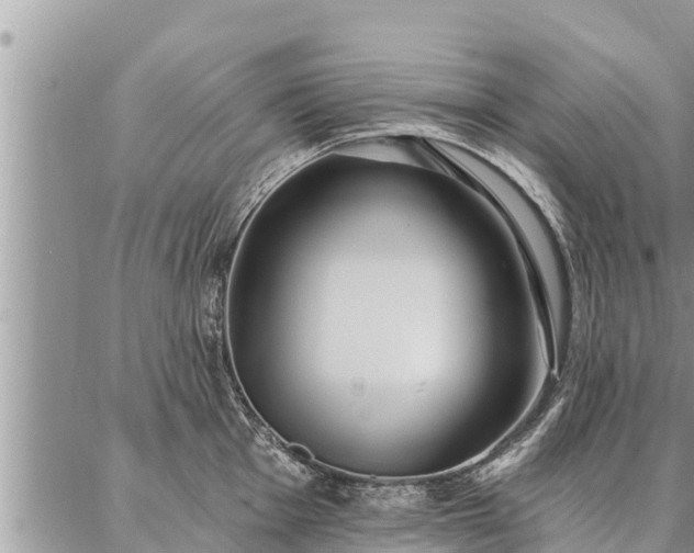 X0000086931001200704231326