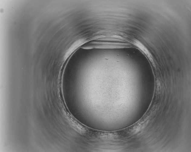 X0000086931002200704231326