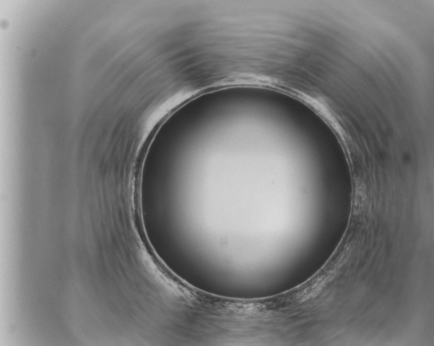 X0000086931003200704231326