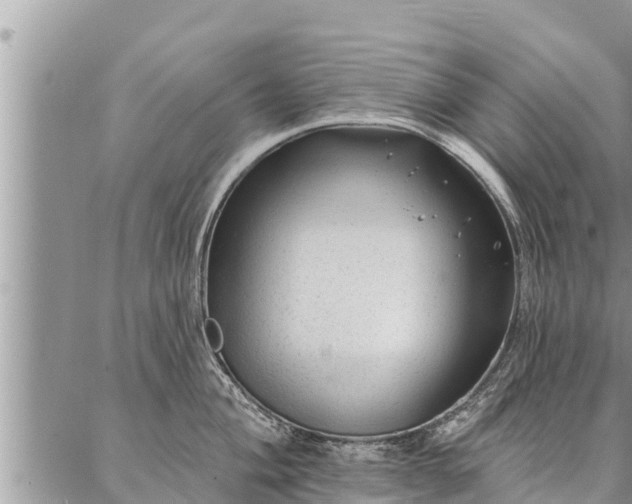 X0000086931004200704231326