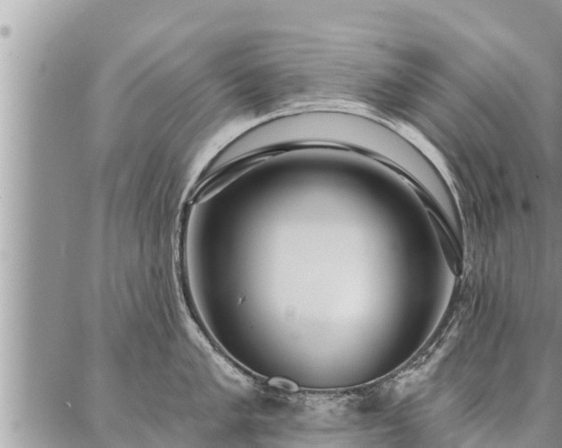 X0000086931005200704231326