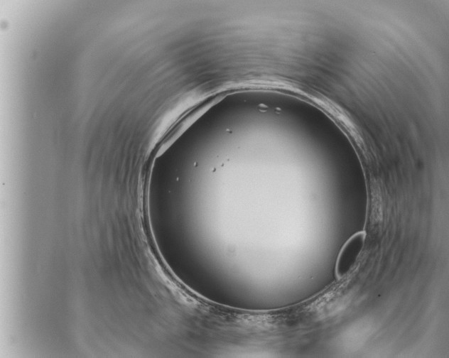 X0000086931006200704231326