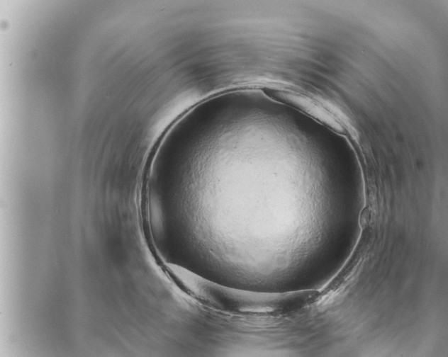 X0000086931007200704231325