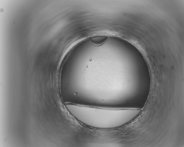 X0000086931008200704231325