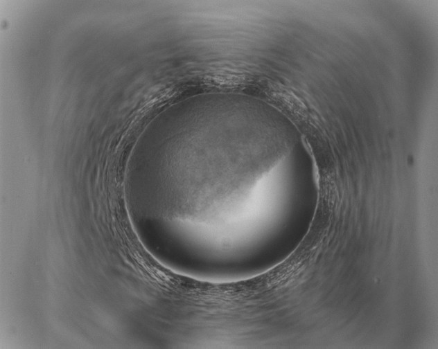 X0000086931009200704231325