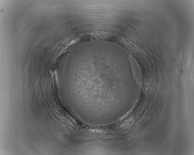 X0000086931010200704231325