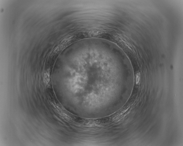 X0000086931011200704231325