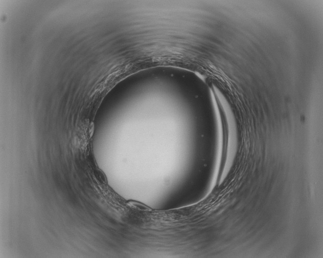 X0000086931012200704231325