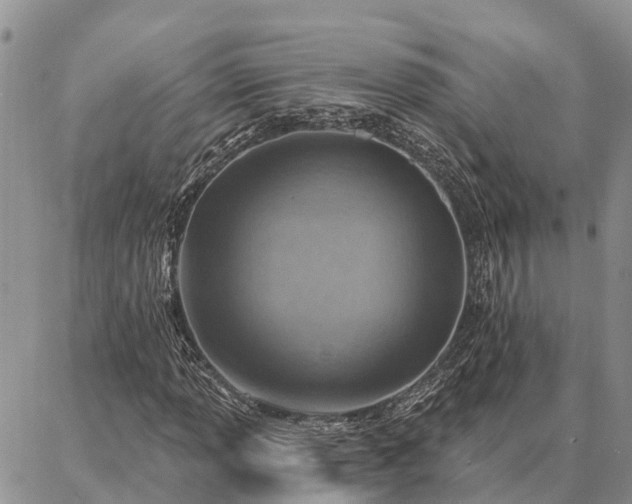 X0000086931013200704231325