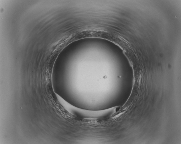 X0000086931014200704231325