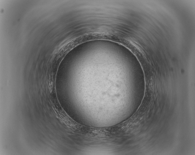 X0000086931015200704231325