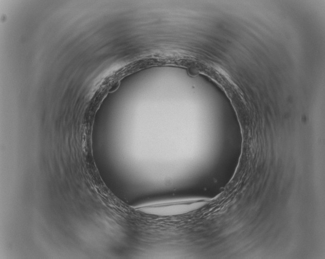 X0000086931016200704231325