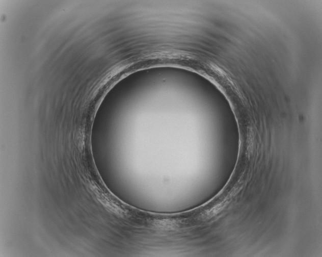 X0000086931017200704231325