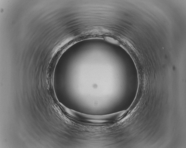 X0000086931018200704231325