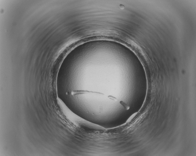 X0000086931019200704231325