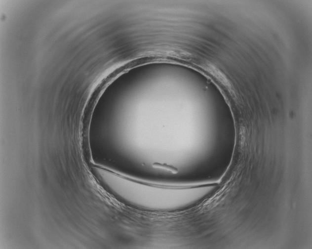 X0000086931020200704231325