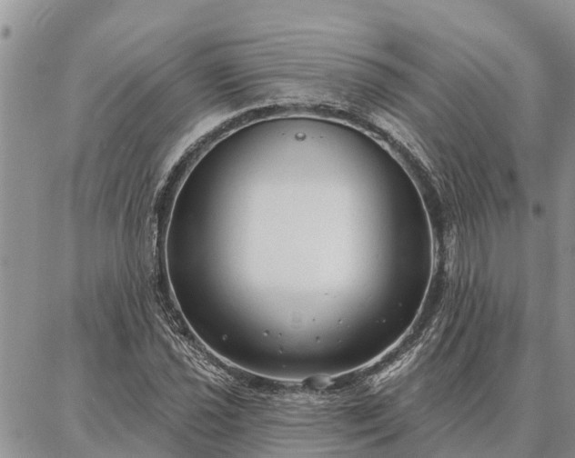 X0000086931021200704231325