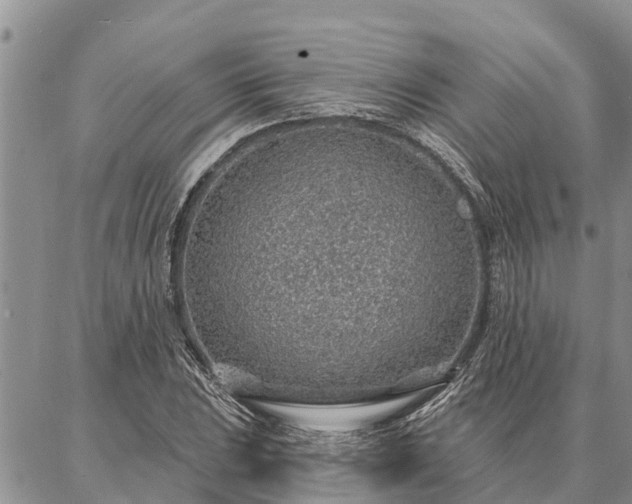 X0000086931023200704231325