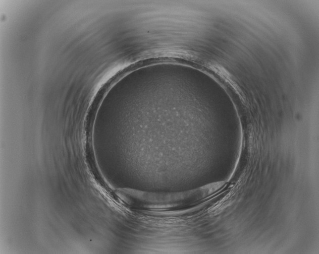 X0000086931024200704231325