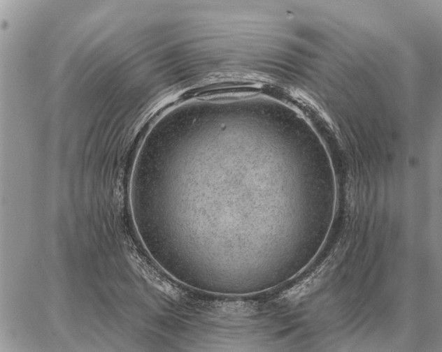 X0000086931025200704231325