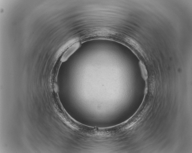 X0000086931026200704231325