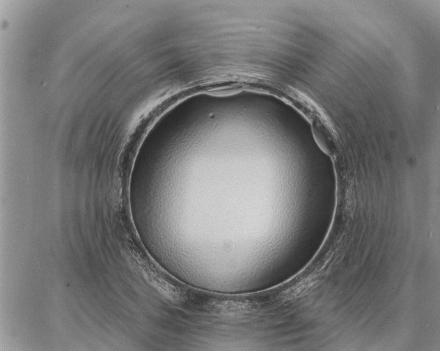 X0000086931027200704231325