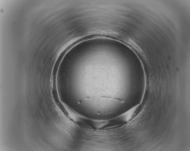 X0000086931028200704231325