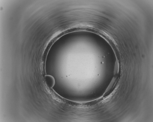 X0000086931029200704231325