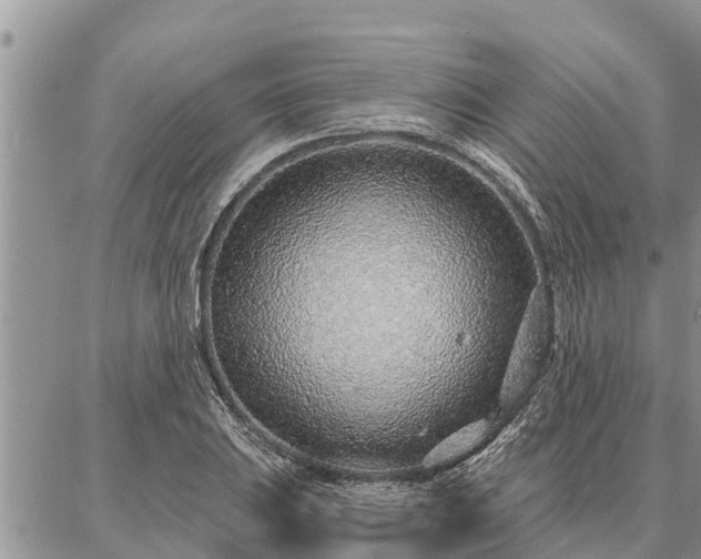 X0000086931031200704231325