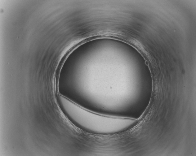 X0000086931032200704231325