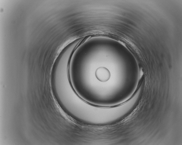 X0000086931034200704231325