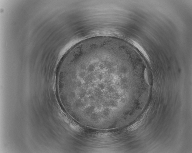 X0000086931035200704231325